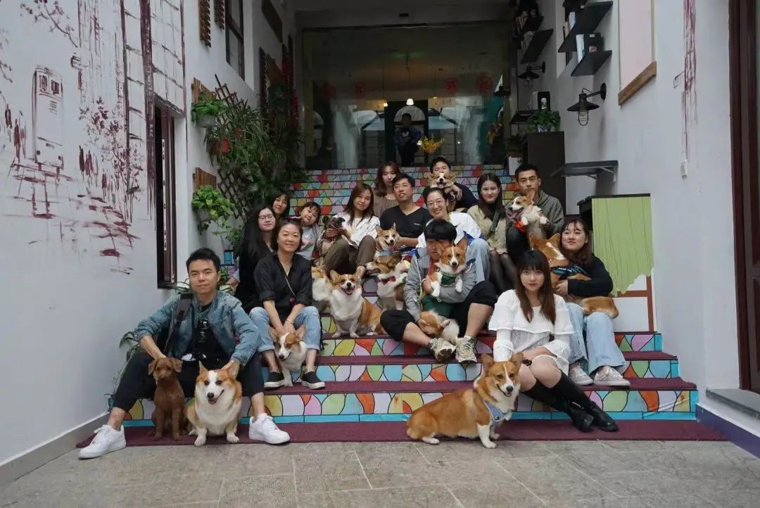 赞！“十一”长假，吴中感谢有你！