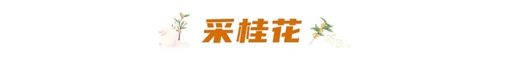 满城桂花香，这里的可！以！吃！
