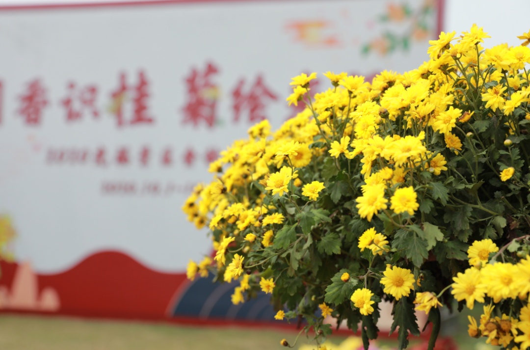 光福秋，快来邂逅你的专属浪漫