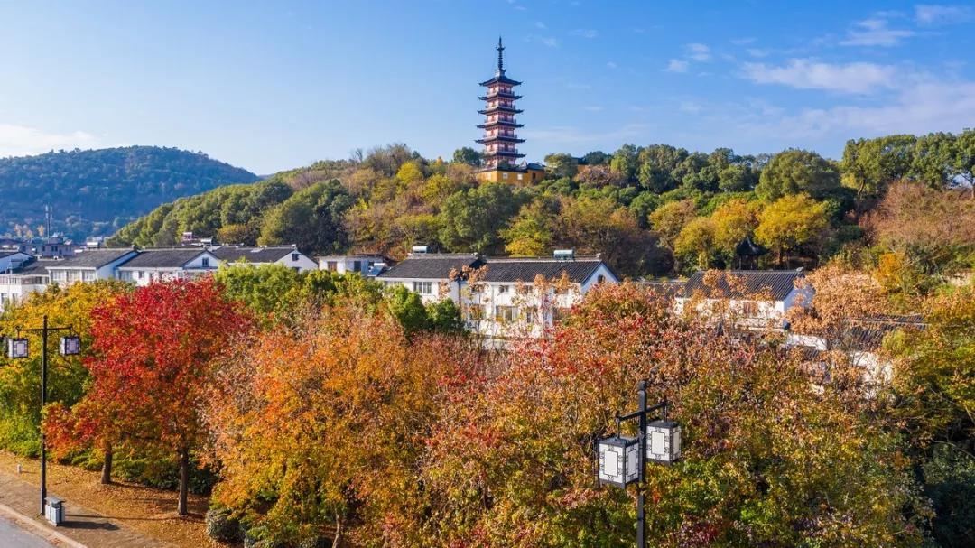 光福秋，快来邂逅你的专属浪漫