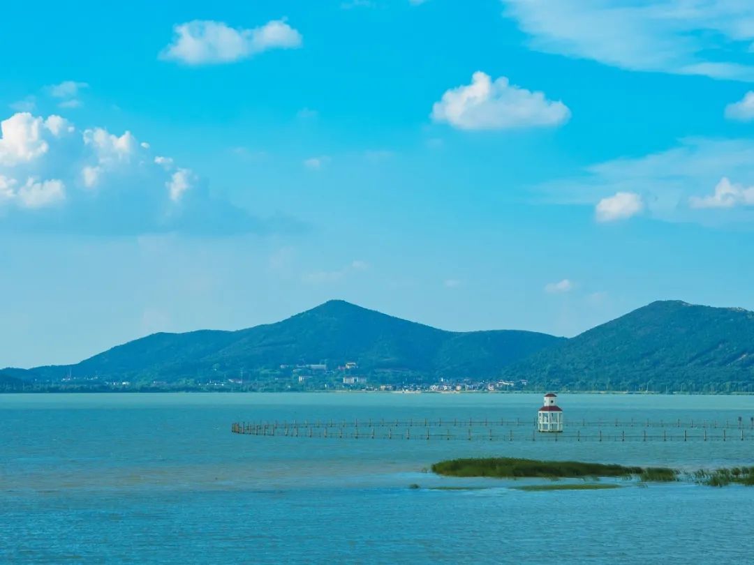 登高、寻鲜、采摘……想怎么嗨都行！