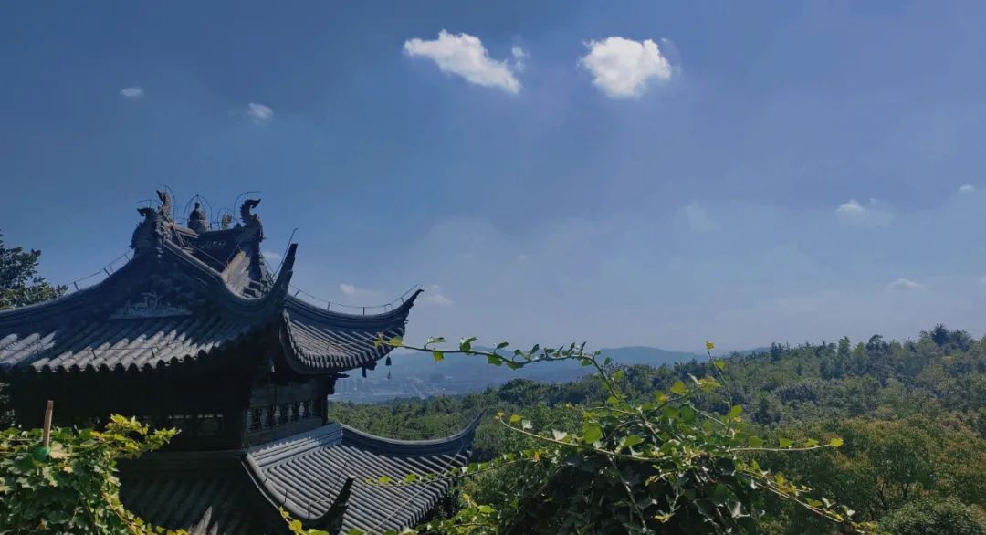 登高、寻鲜、采摘……想怎么嗨都行！