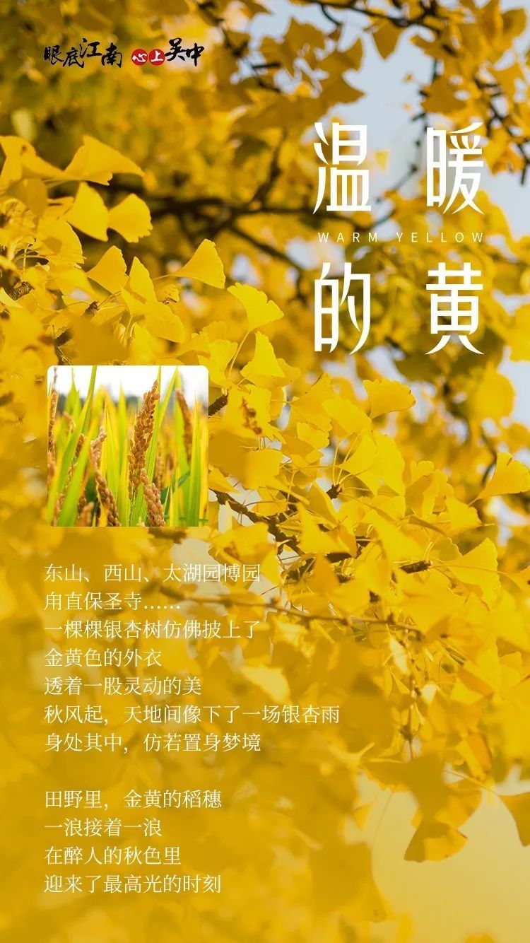 你猜，吴中的秋天是什么颜色？
