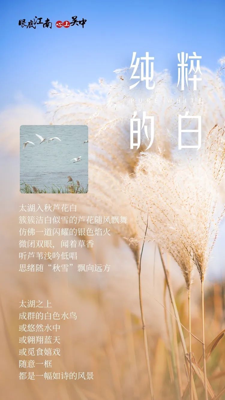 你猜，吴中的秋天是什么颜色？