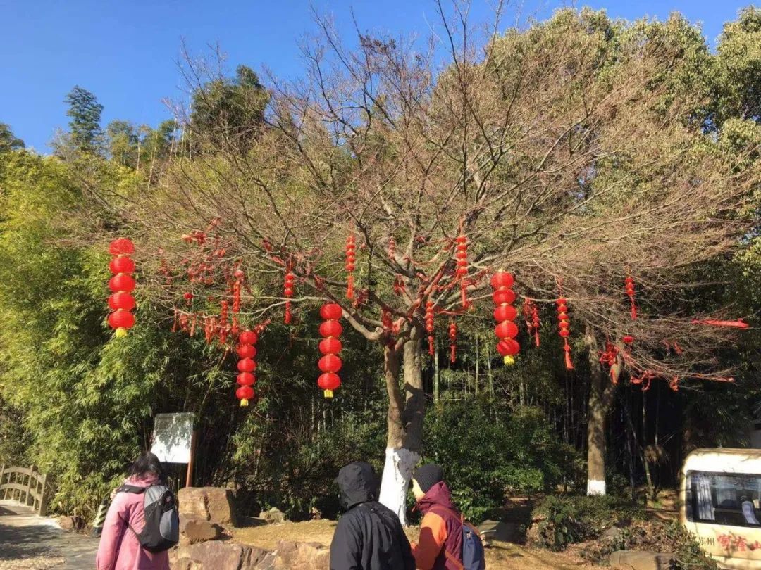 元旦喜乐，精彩“吴”限！