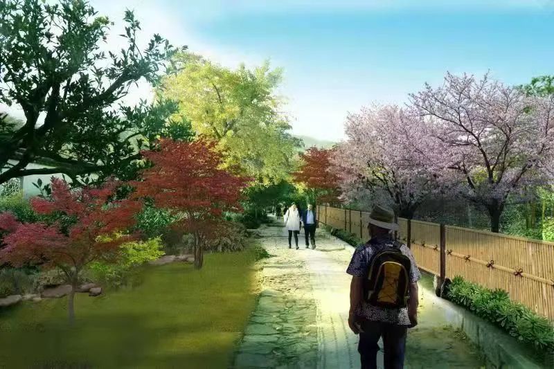 东山“彩虹路”！走，一起去看看！