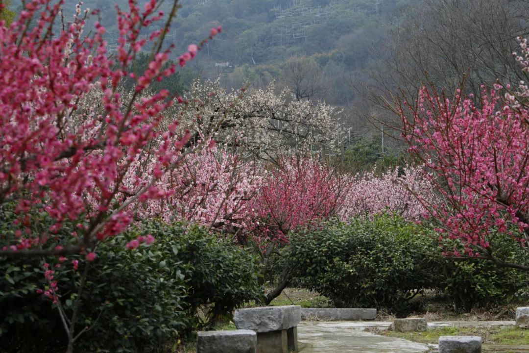 东山“彩虹路”！走，一起去看看！