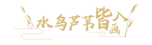 微风起，芦苇摇，又到一年吴中芦花扬！