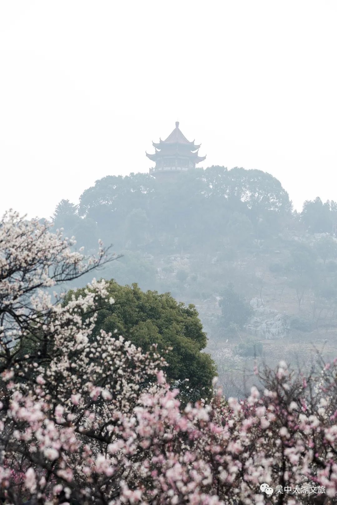 冬游吴中丨踏雪寻梅！这3条线路请提前收藏！