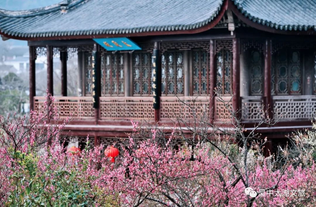 冬游吴中丨踏雪寻梅！这3条线路请提前收藏！