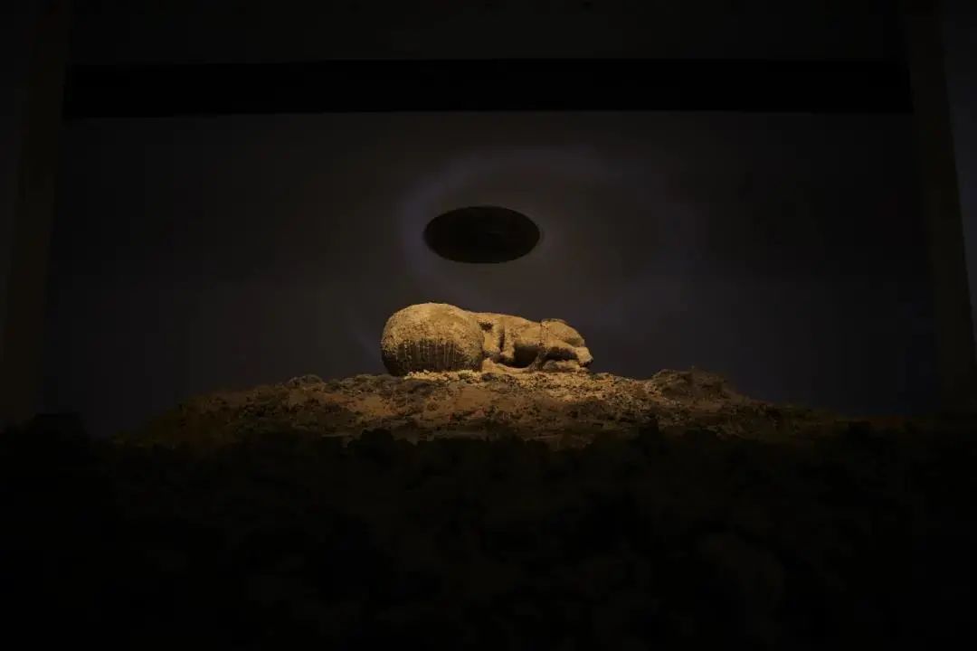 冬天，去看展才是“正经事”！
