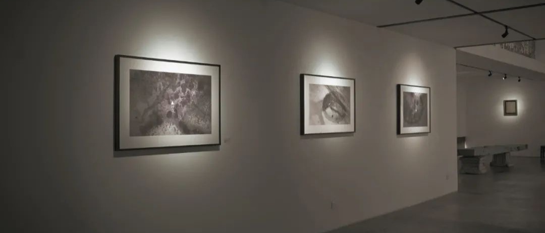 冬天，去看展才是“正经事”！