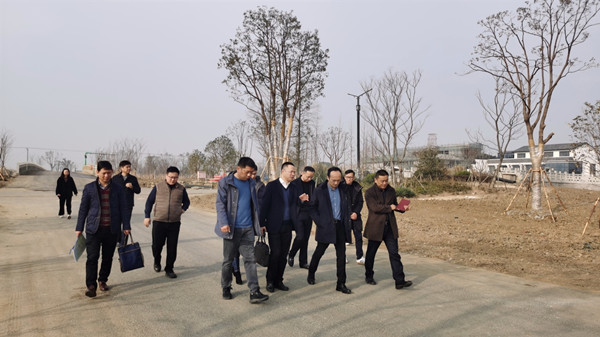 吴中区人民政府副区长王晓东调研横泾南部乡村振兴工作情况
