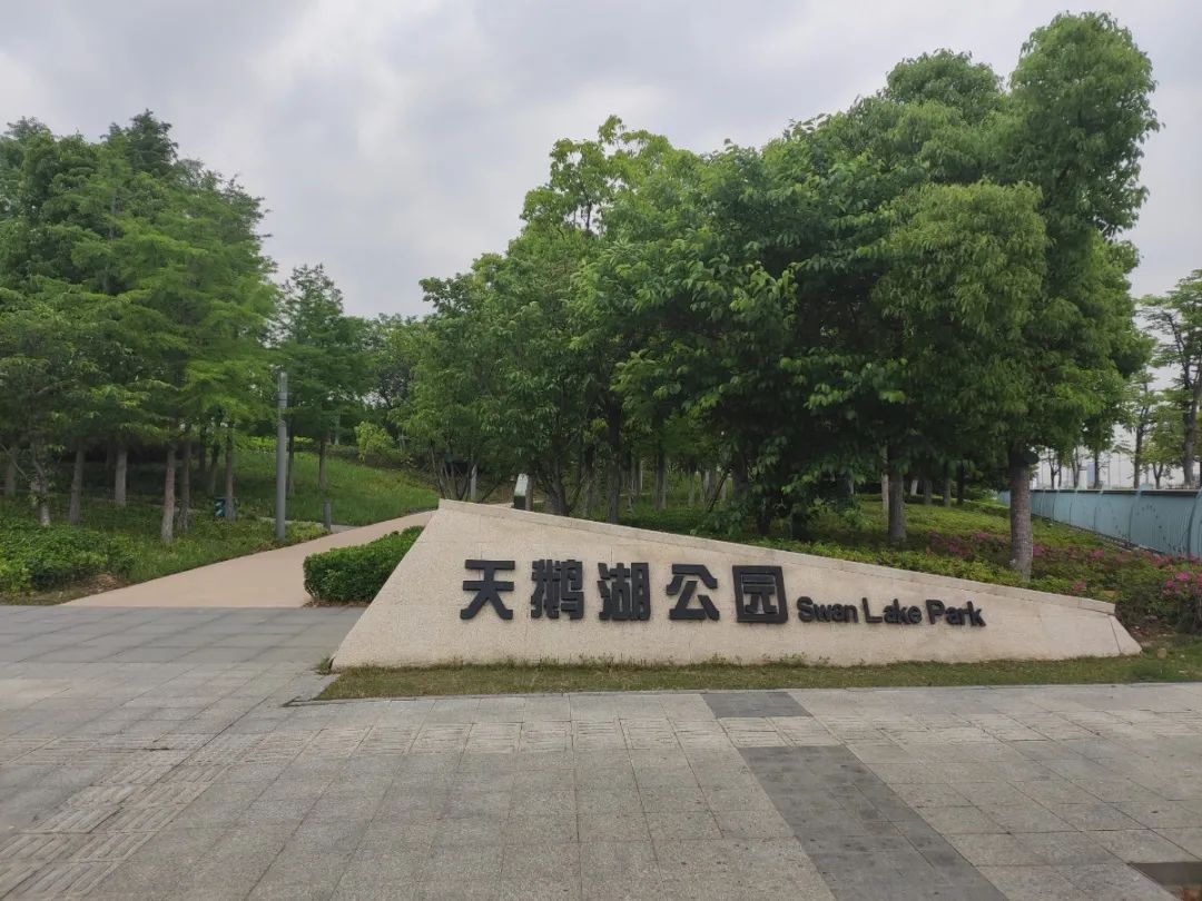 藏不住了！城市里的“桃花源”，秒出大片！