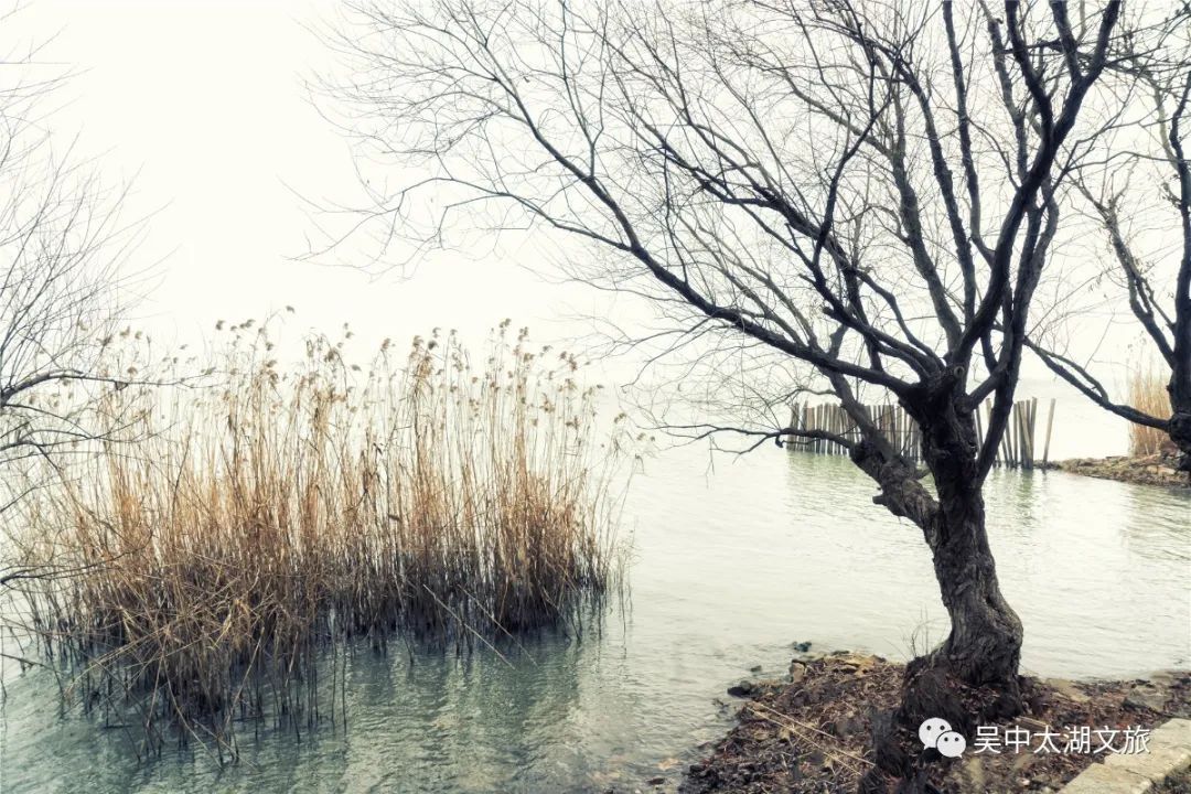 在这座“隐世”小岛，把一天过成48小时！