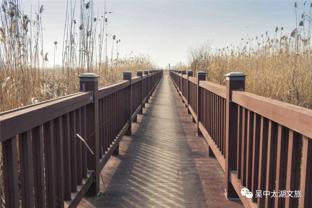 在这座“隐世”小岛，把一天过成48小时！