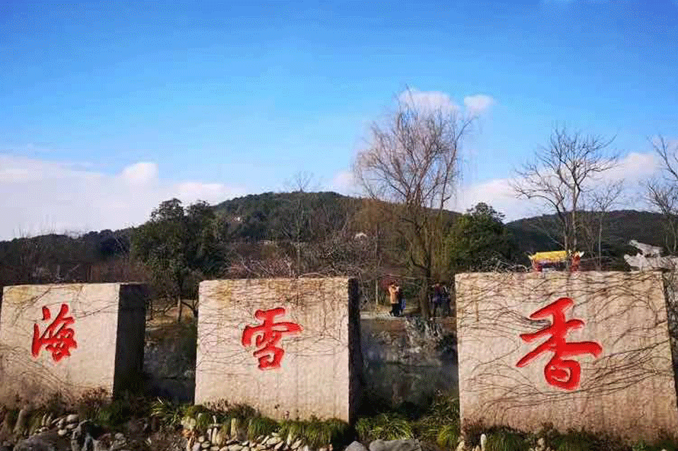 200万！你看了吗？