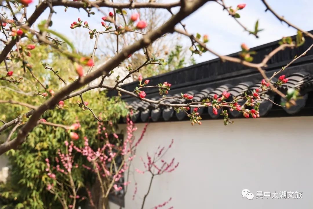 这一碗素面，有讲究！