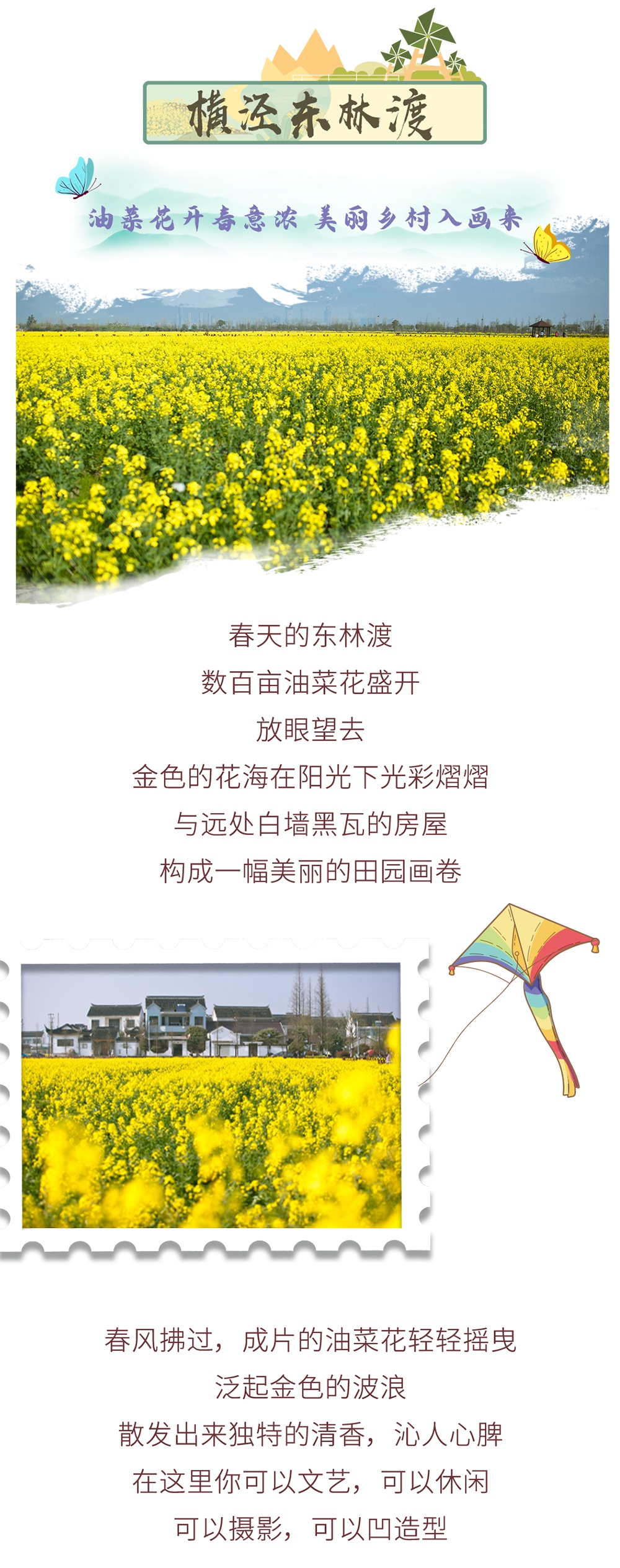 这些“金色花海”，是我想赠予你的春日浪漫！
