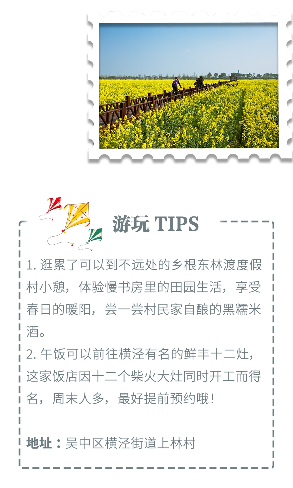 这些“金色花海”，是我想赠予你的春日浪漫！
