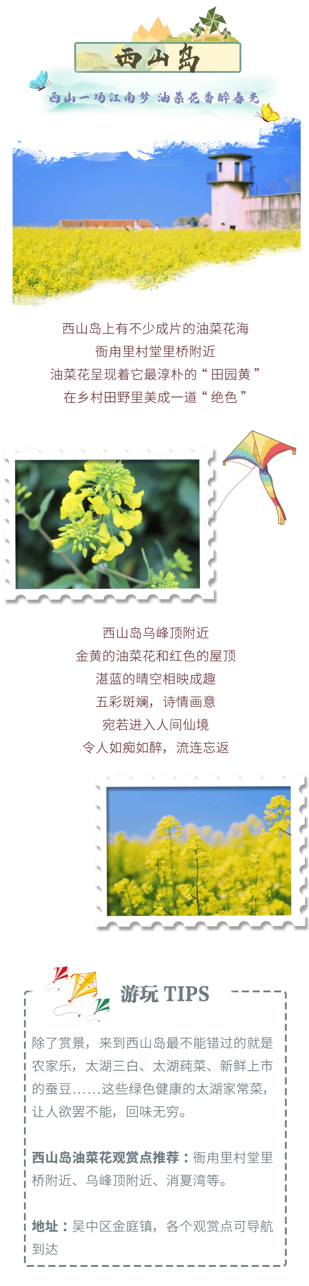 这些“金色花海”，是我想赠予你的春日浪漫！