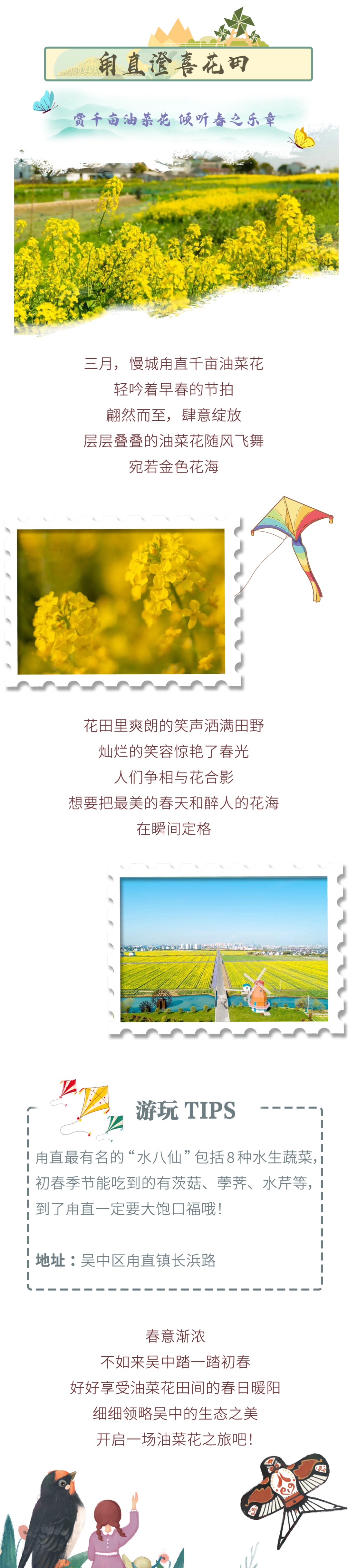 这些“金色花海”，是我想赠予你的春日浪漫！
