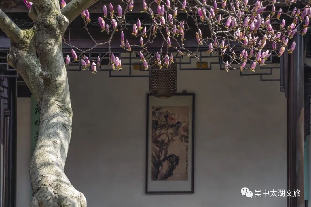 古村古韵丨这里有你寻找的江南