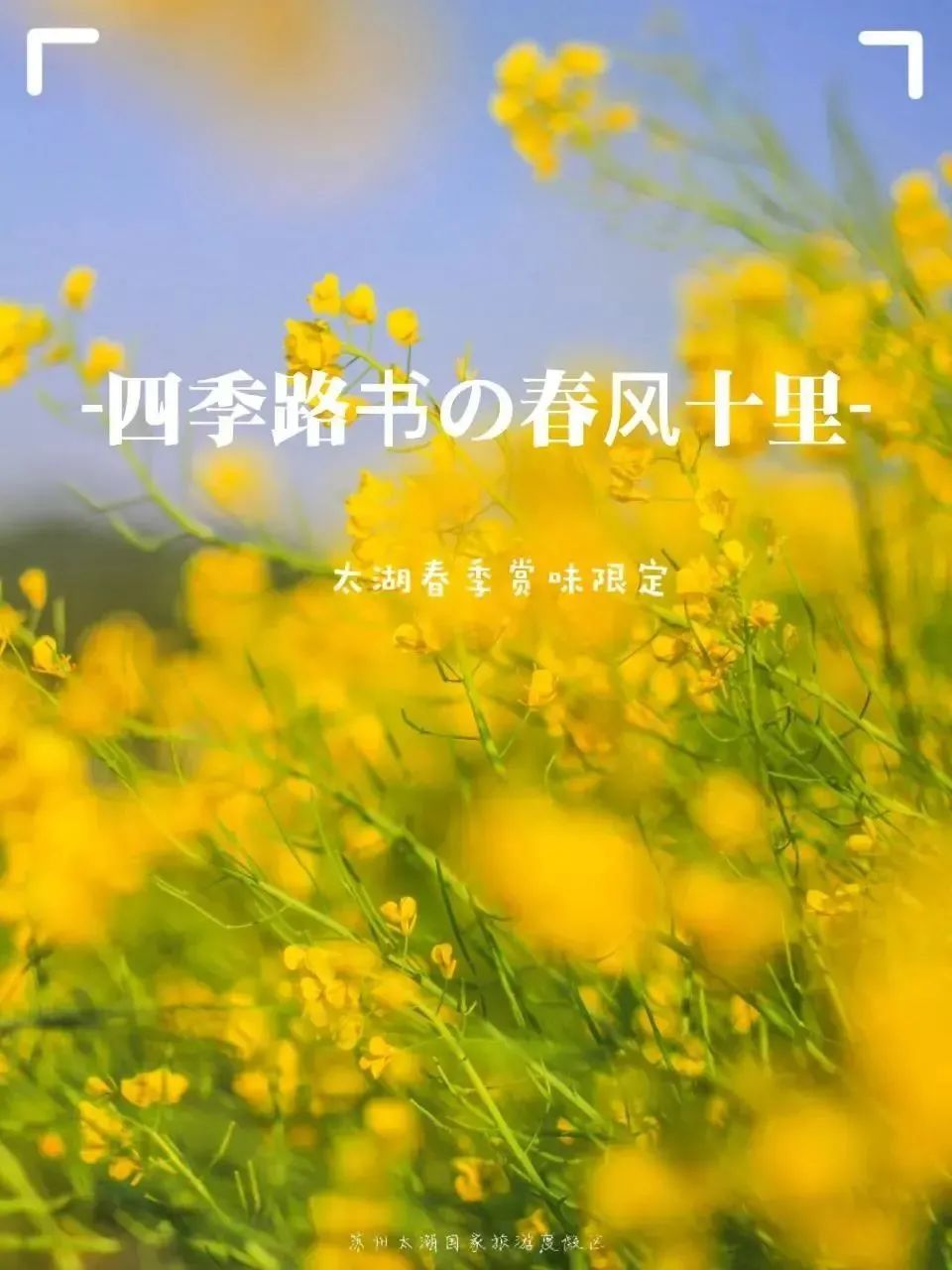 去太湖享受春季限定美好