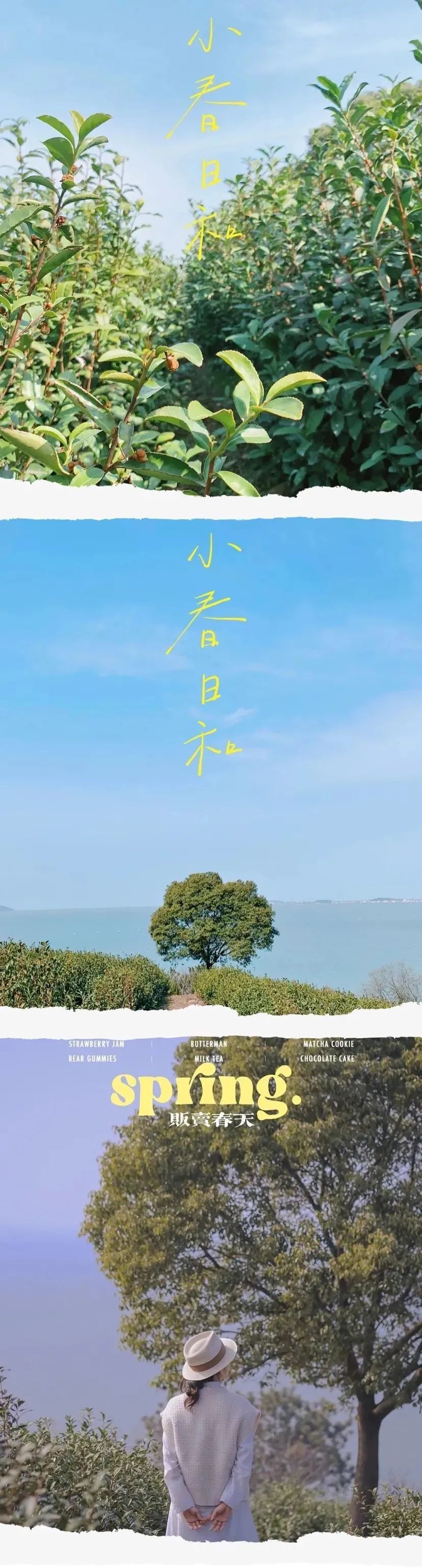 去太湖享受春季限定美好