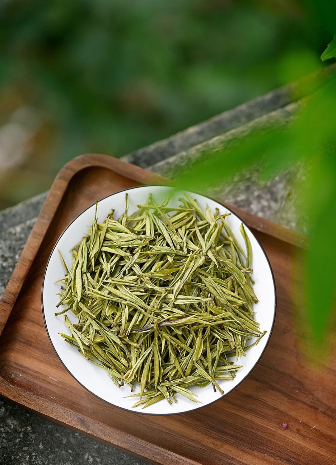 踏青、登高、吃茶......全在这座山里了！