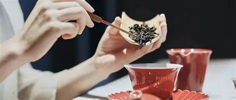 踏青、登高、吃茶......全在这座山里了！