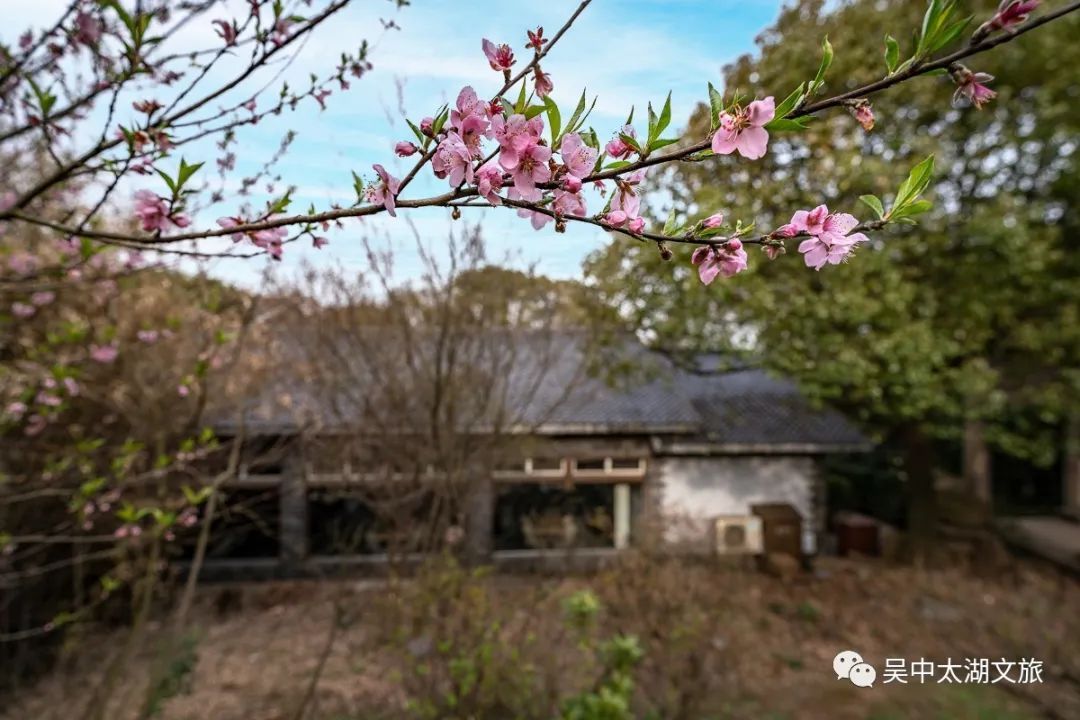 穹窿春色，一眼情深！
