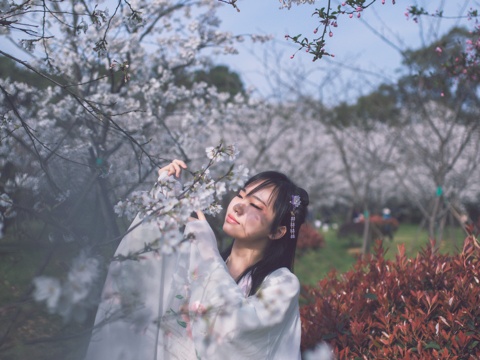 清明小长假来吴中这样玩，才有趣！