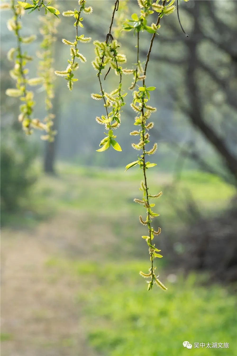 清明