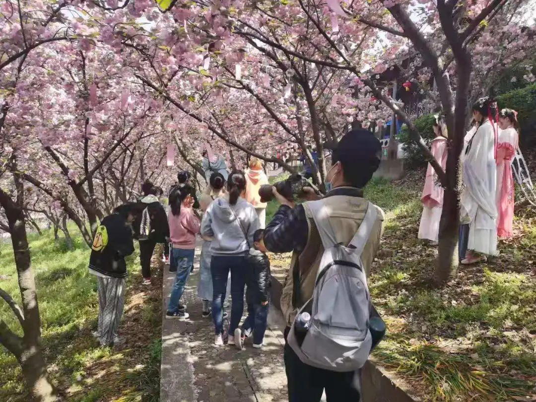 57.20万人次！有你吗？