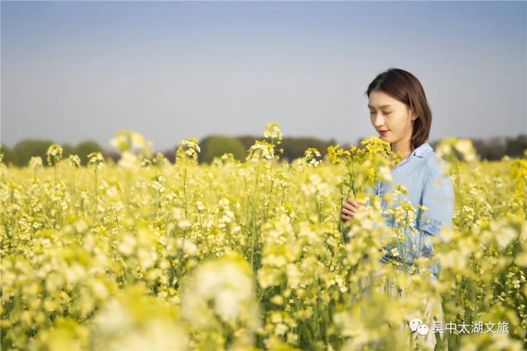 花开成海！趁着最后花期去打卡！