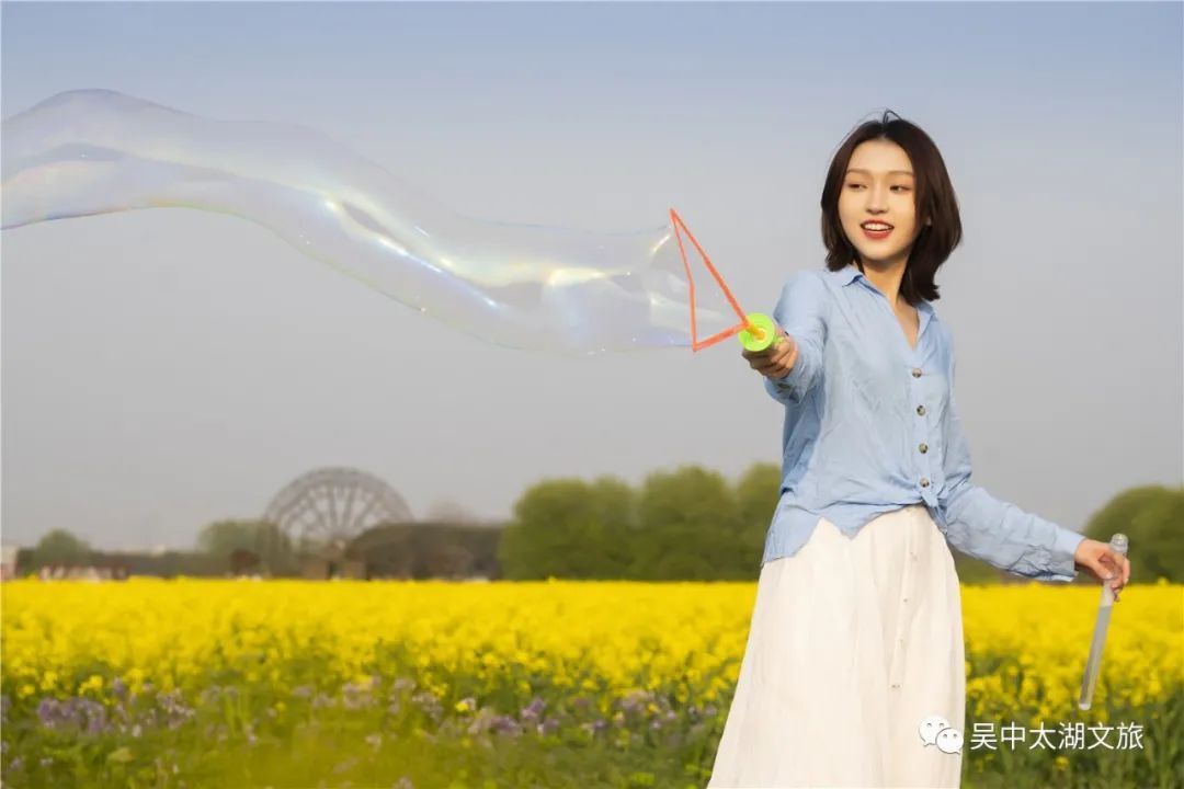 花开成海！趁着最后花期去打卡！
