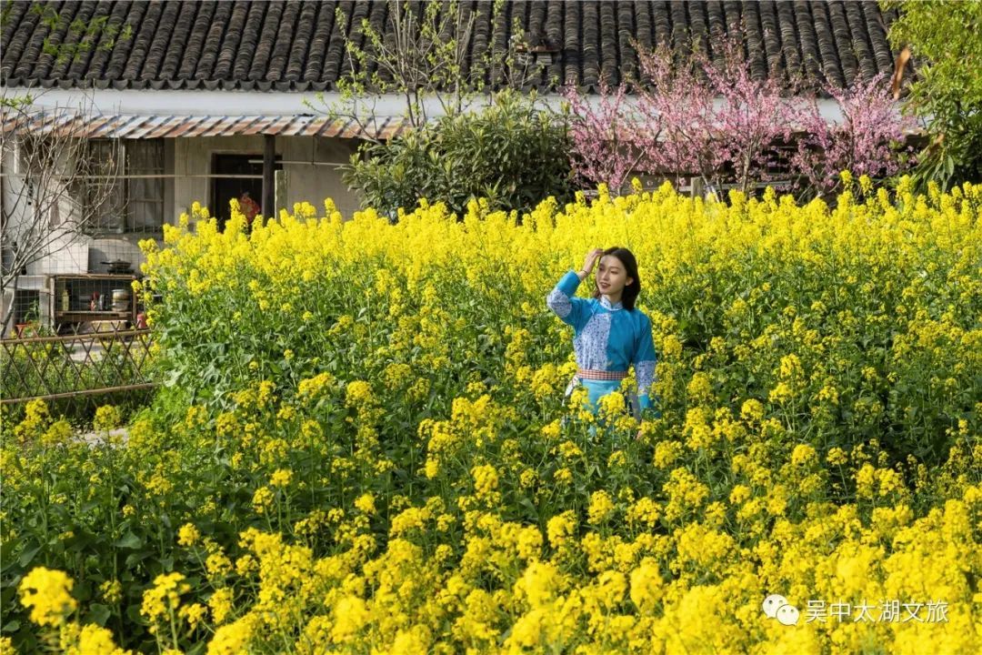 花开成海！趁着最后花期去打卡！