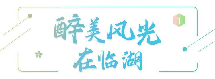 在临湖，打开春天的N种方式！
