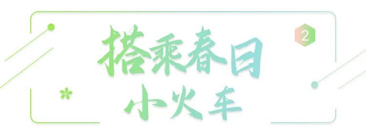 在临湖，打开春天的N种方式！