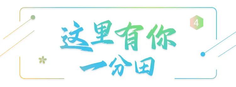 在临湖，打开春天的N种方式！