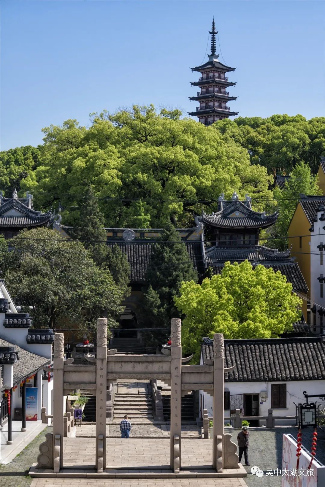 樱花之约，不负等待…