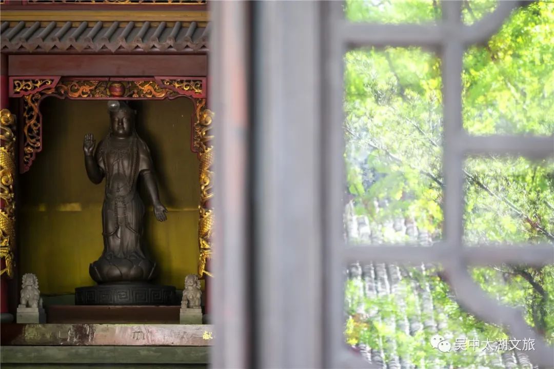 樱花之约，不负等待…