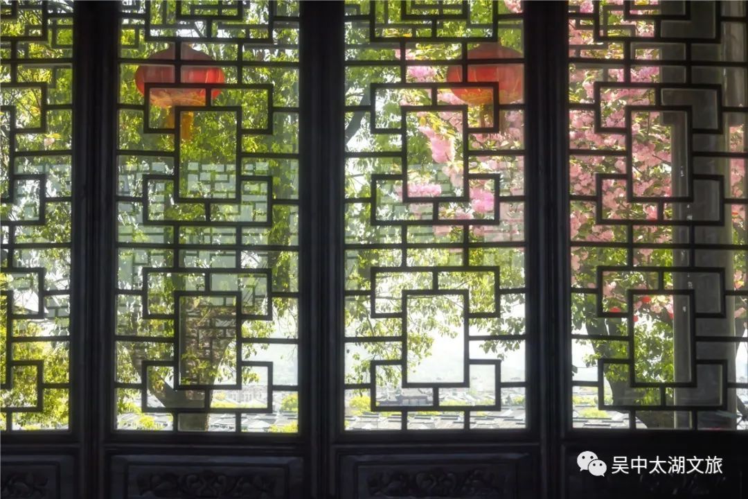 樱花之约，不负等待…