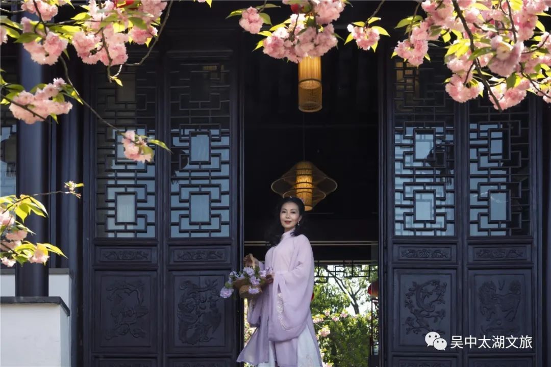 樱花之约，不负等待…