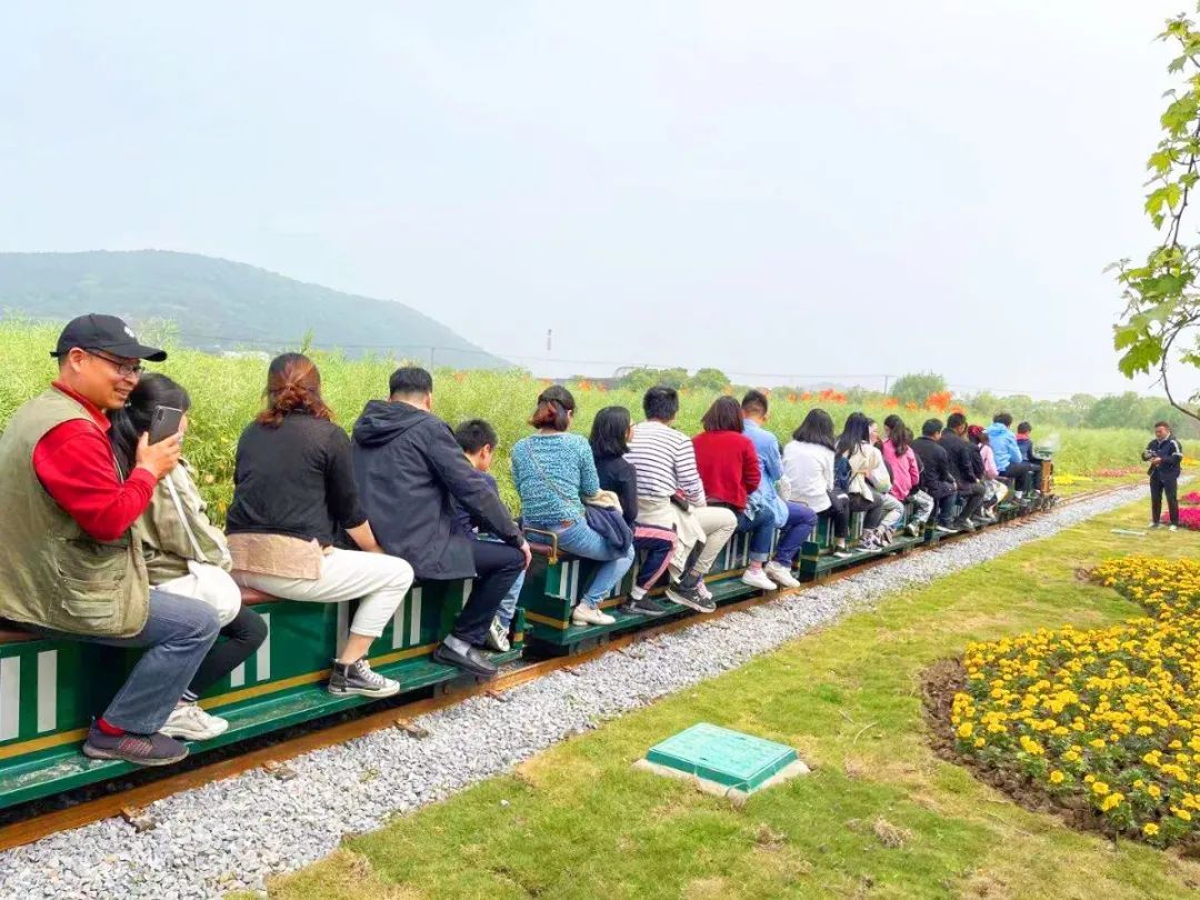 萌宠、粉色沙滩、小火车……来这里不要太开心！