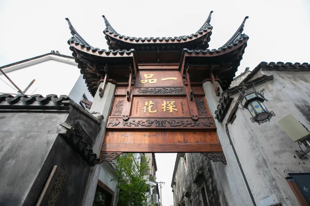 热情满满！183万人次游吴中！