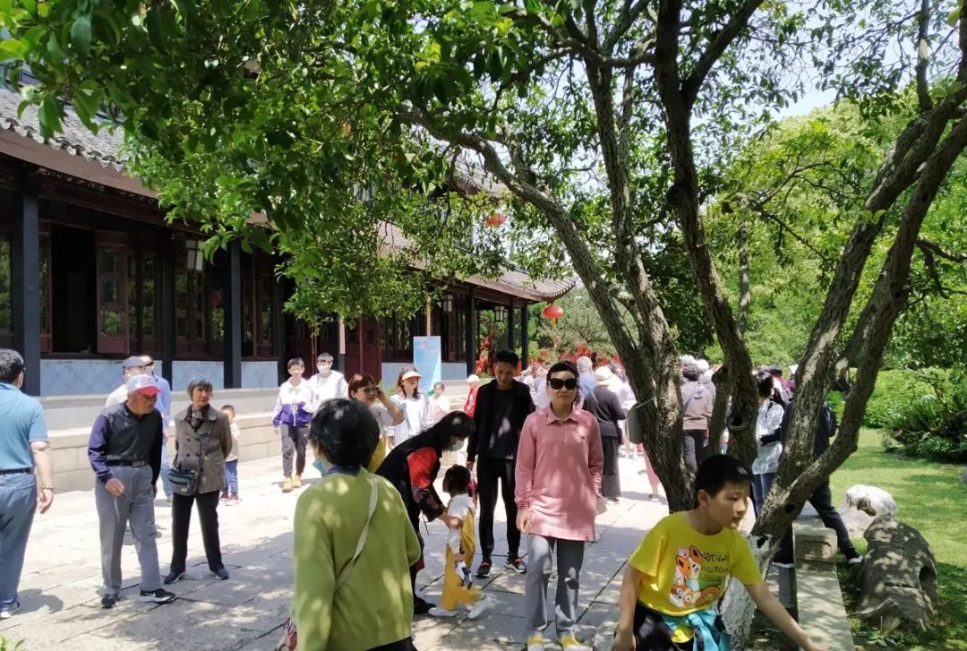 热情满满！183万人次游吴中！
