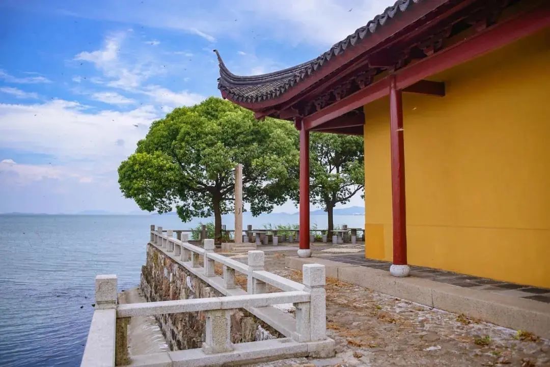关于夏天的诗词里，藏着一整个太湖…