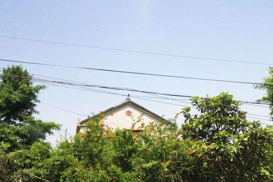 关于夏天的诗词里，藏着一整个太湖…